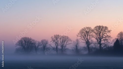 Silhouetted Trees Against a Pink and Blue Foggy Sky at Dawn