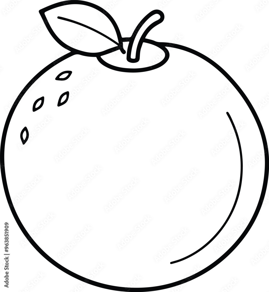 apple vector illustration apple vector illustration