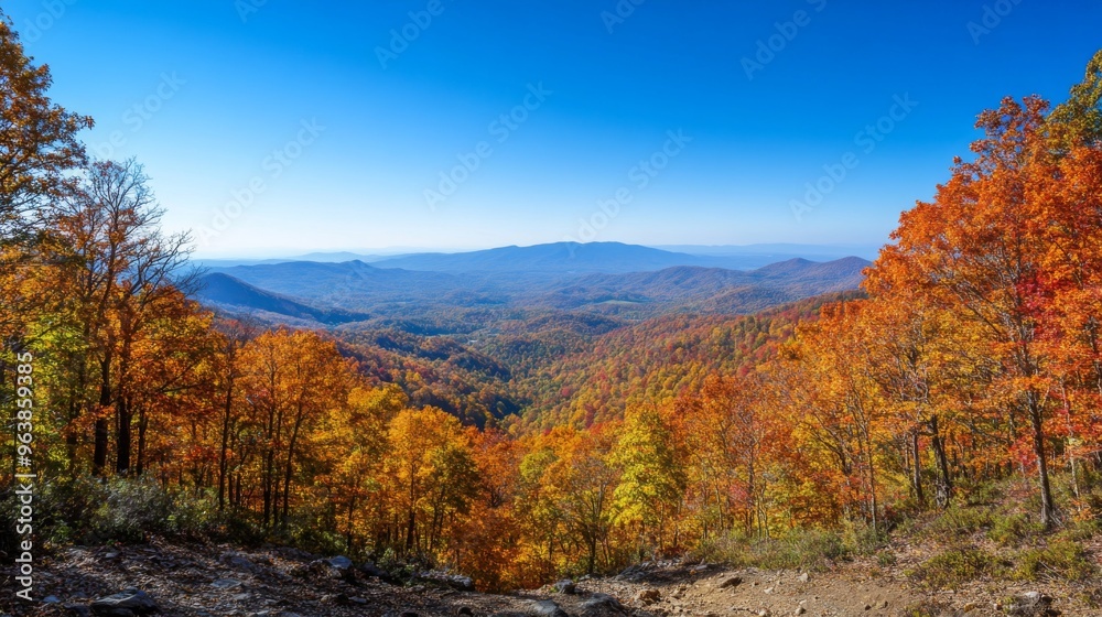 Mountain View with Autumn Foliage and a Clear Blue Sky Mountain View with Autumn Foliage and a Clear Blue Sky