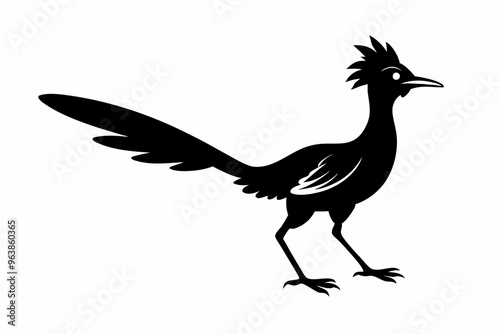 
Road runner bird icon, roadrunner silhouette, vector illustration