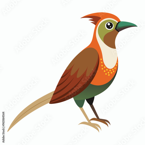 buff tailed sicklebill bird vector photo