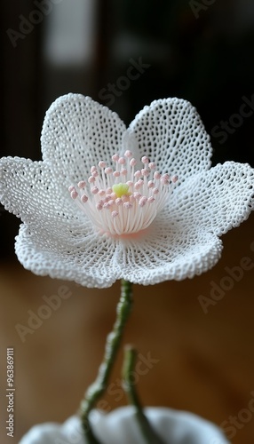 Delicate White Flower with Lacy Petals and Pink Stamens photo