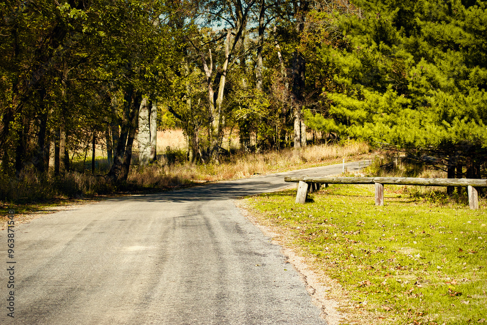 Autumn in the Forest on a Country Road Autumn in the Forest on a Country Road