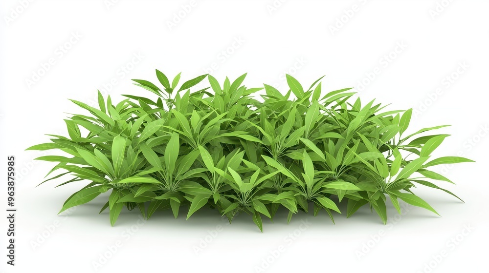 Lush Green Foliage Bush Isolated on White Background Lush Green Foliage Bush Isolated on White Background