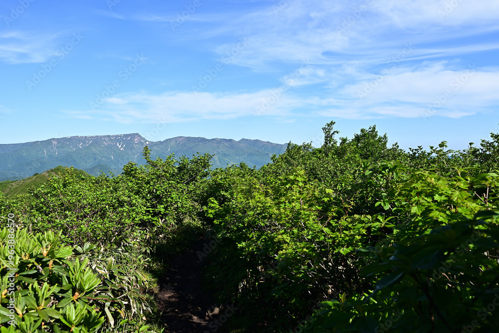 Mount. Tairappyou and Sennokura, Gunma, Japan Mount. Tairappyou and Sennokura, Gunma, Japan