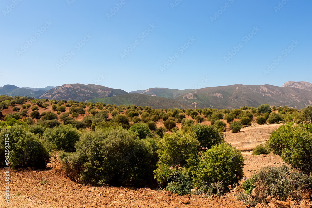 Naklejka premium mediteranian landscape background