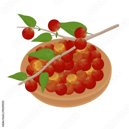 Vector Illustration Logo Clip art Superfood Camu Camu Berry on a Wooden Plate photo