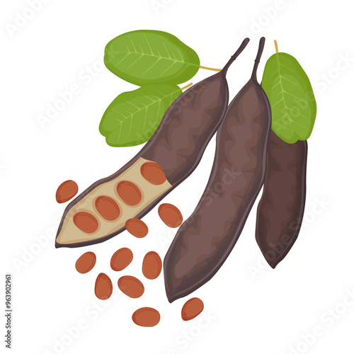 Vector Illustration Logo Clip art Carob Pods with Seeds