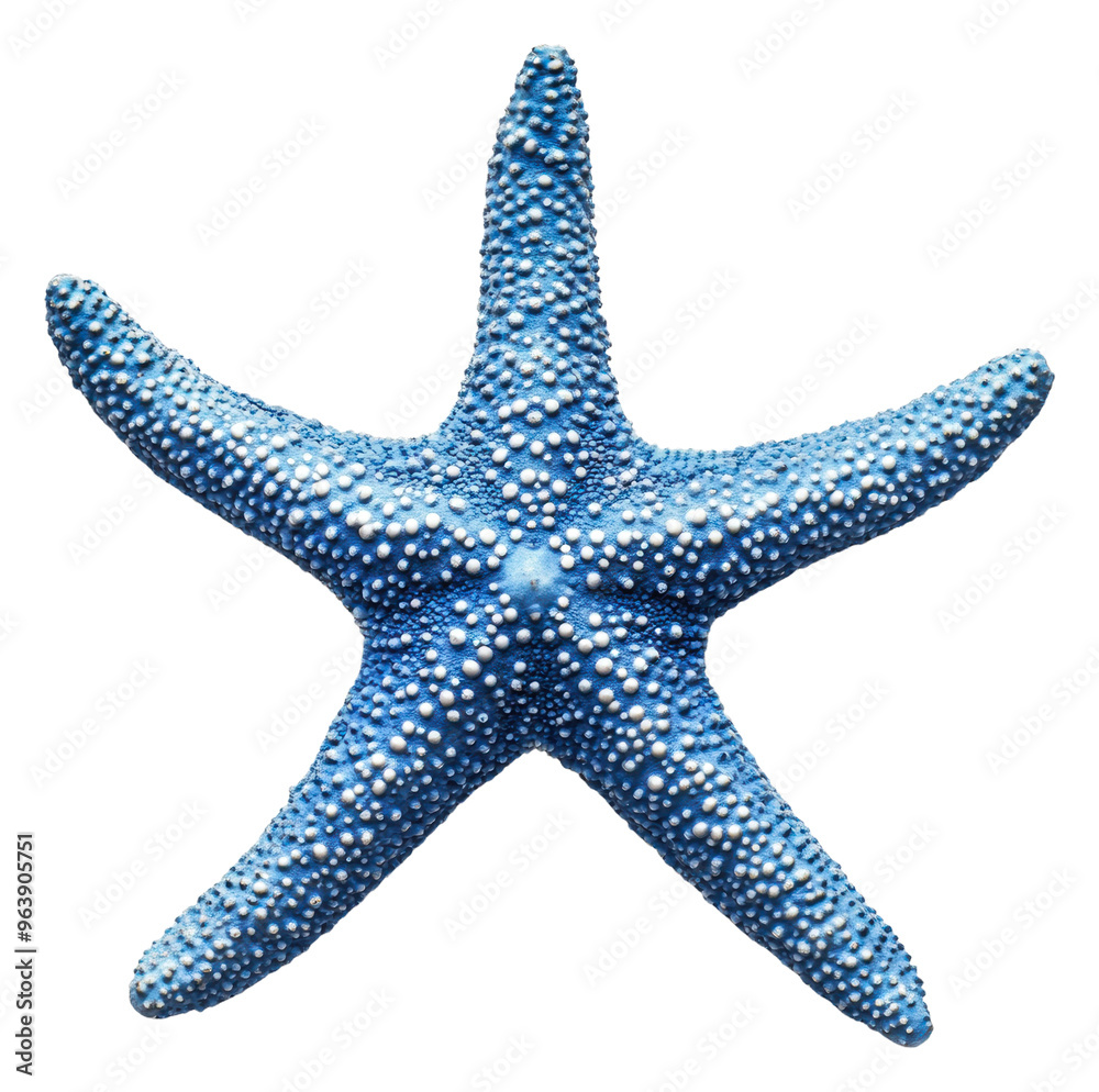 Bright blue starfish resting on sandy ocean floor, cut out - stock png. Bright blue starfish resting on sandy ocean floor, cut out - stock png.