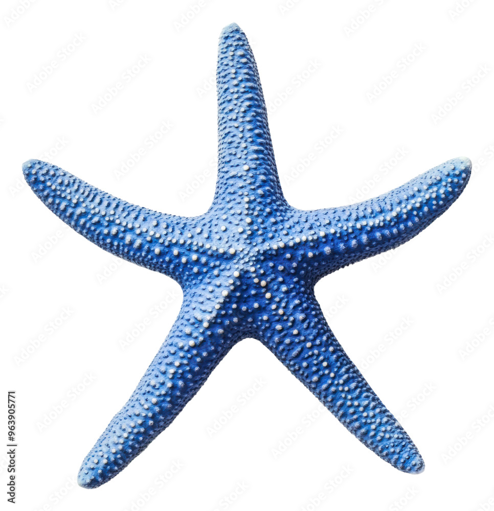 Bright blue starfish resting on sandy ocean floor, cut out - stock png. Bright blue starfish resting on sandy ocean floor, cut out - stock png.