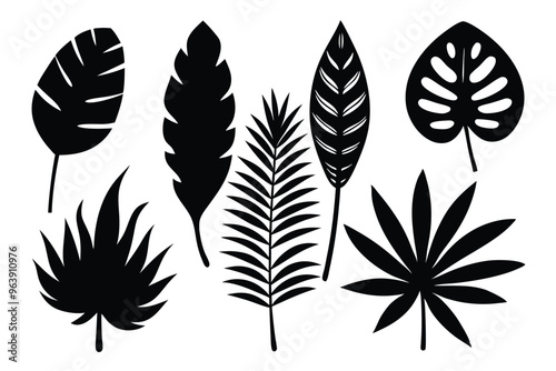 Set of tropical leaves vector. palm leaves silhouettes on white background