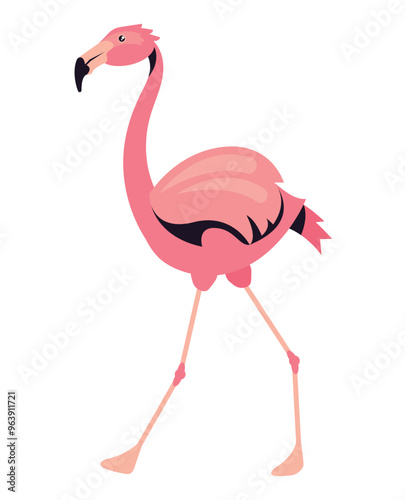 pink flemish bird wild character