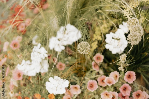 flowers in the grass