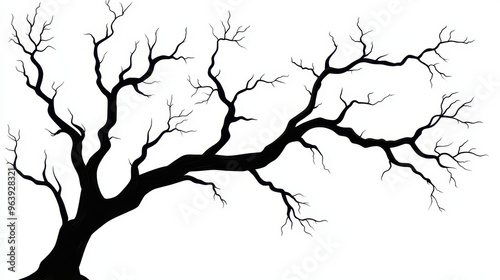 Black and White Silhouette of a Bare Tree Branch with White Background