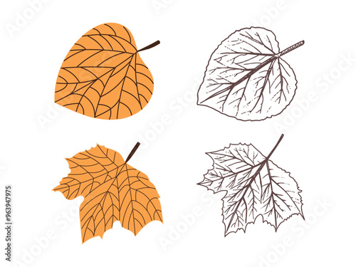 Vector  flat and hand drawn style  leaf illustration. Vintage sketch element for the design of labels, packaging and postcards.