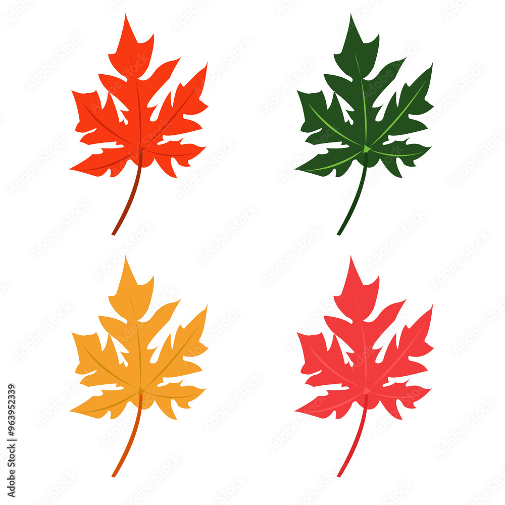 maple or autumn leaves with orange, green, yellow, pink colors in transparent background maple or autumn leaves with orange, green, yellow, pink colors in transparent background