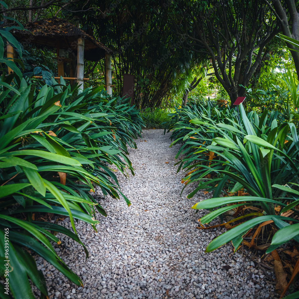 Narrow pathway with plants in the botanical garden, Menton, France Narrow pathway with plants in the botanical garden, Menton, France