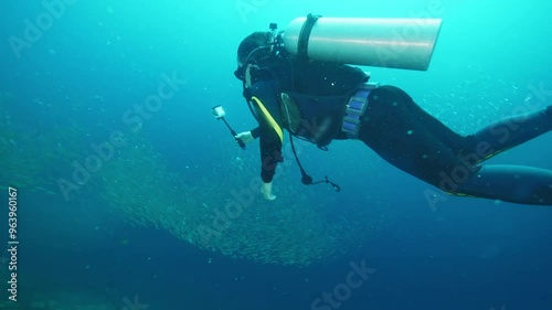 Wallpaper Mural Skilled diver records sardines school using action camera Torontodigital.ca