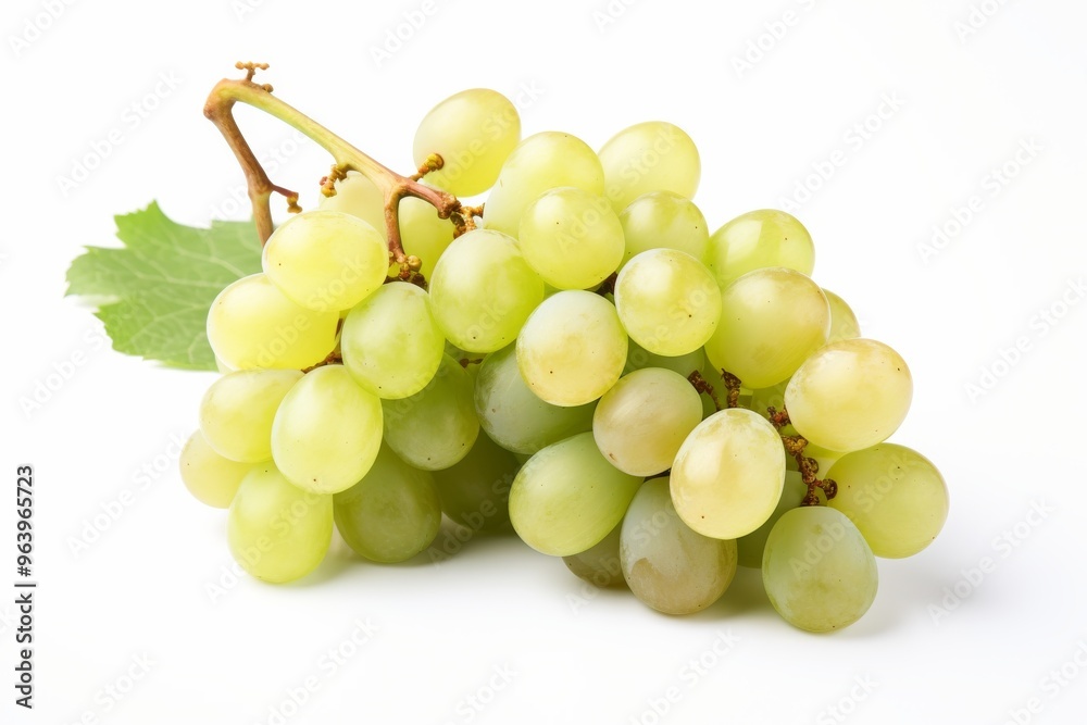 Fresh green grapes on a vine against a light background in early afternoon light Fresh green grapes on a vine against a light background in early afternoon light