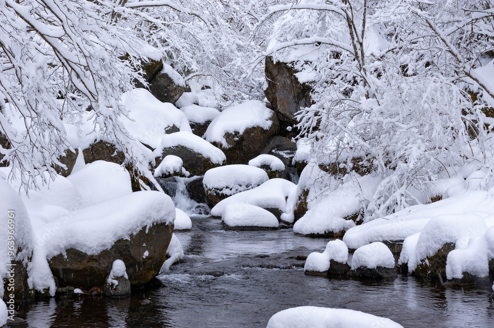 降雪翌朝の雪化粧した川俣川渓谷 降雪翌朝の雪化粧した川俣川渓谷