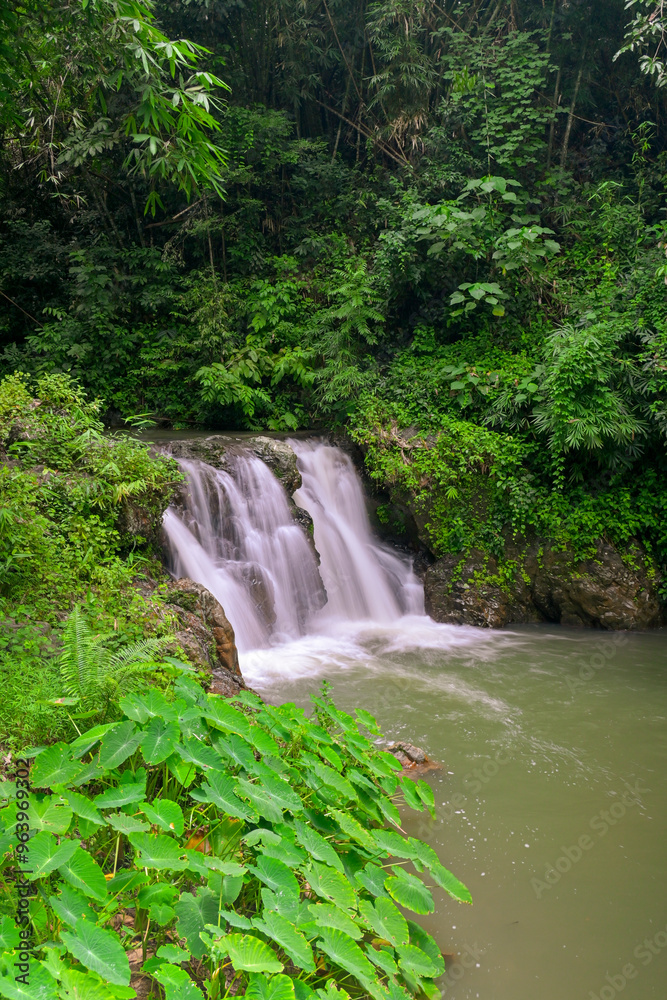 Obraz premium Beautiful water stream flows over the cascade range through green plants in tropical rainforest. Ton Yai Waterfall, Surat Thani Province, Thailand. Scenery in wild nature.