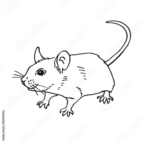 Mouse. Hand drawn vector illustration ink style.