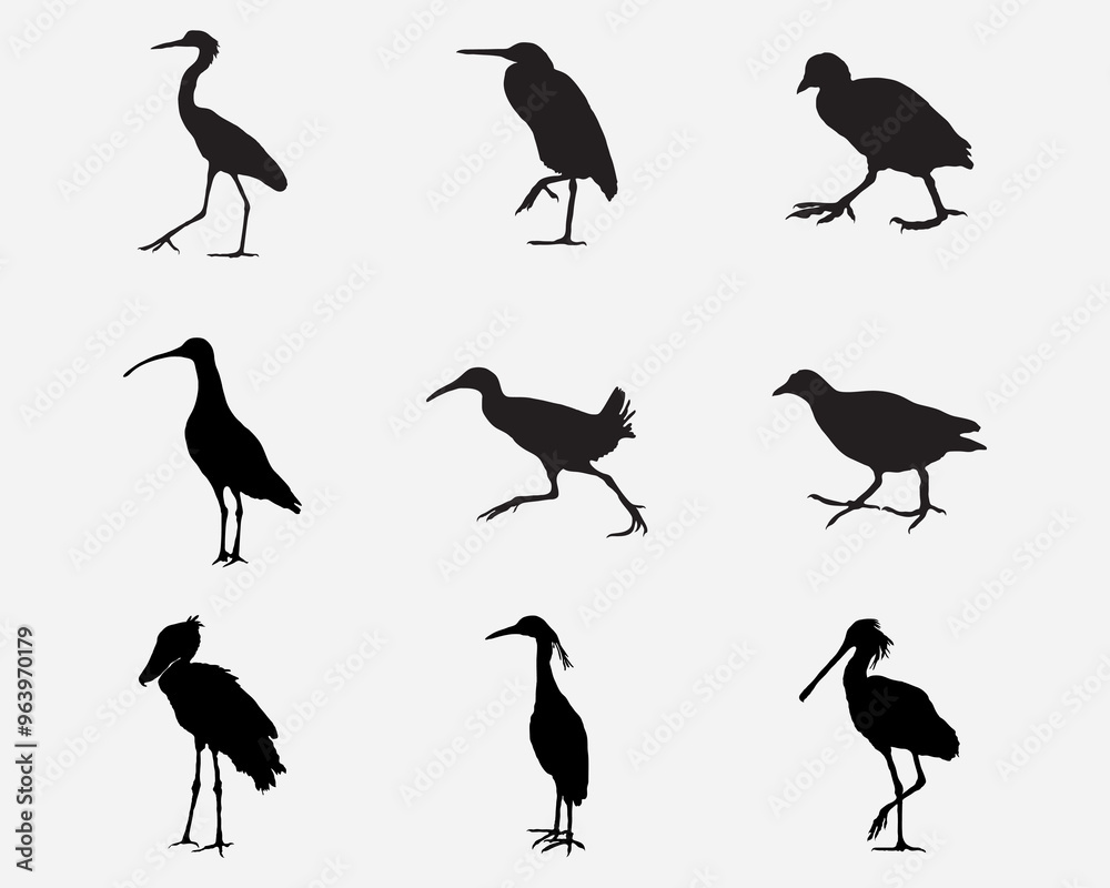 Obraz premium set of swamp bird heron,shoebill,strok vector silhouette .marsh bird shadow illustration isolated on background