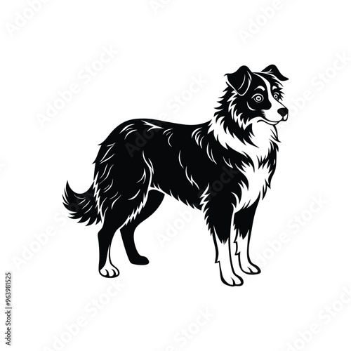 Silhouette of brave Australian shepherd dog vector clipart design