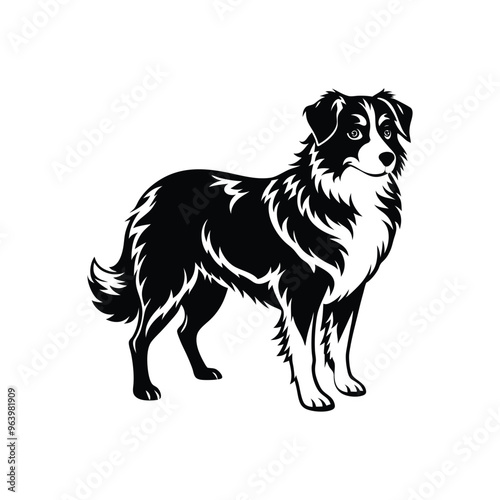 Silhouette of energetic puppy Australian shepherd dog vector clipart design