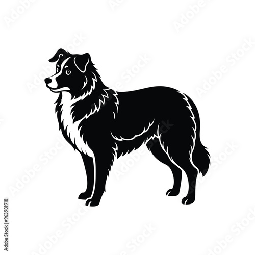 Silhouette of wild Australian shepherd dog vector clipart design