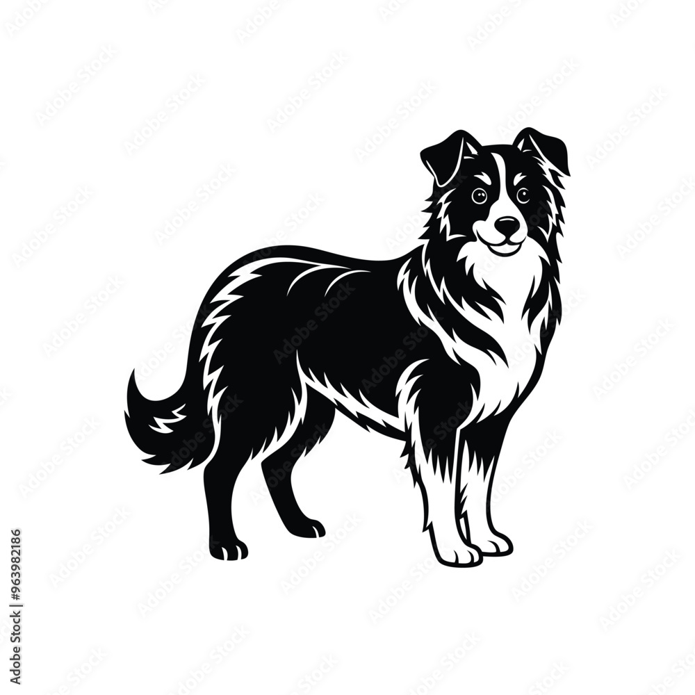 Fototapeta premium Silhouette of agile Australian shepherd dog vector clipart design