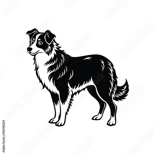 Silhouette of curious Australian shepherd dog vector clipart design