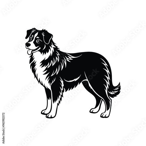 Silhouette of strong Australian shepherd dog vector clipart design
