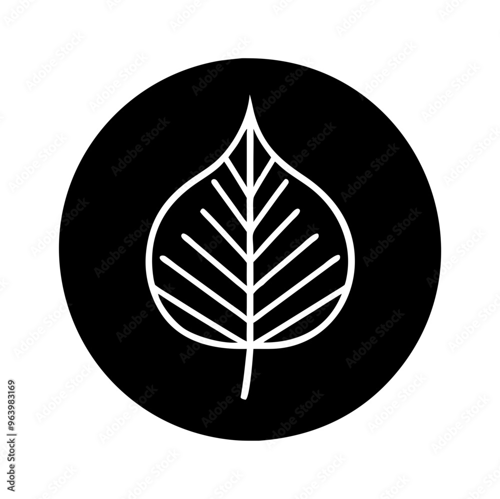 Illustration of linden leaf on black background Illustration of linden leaf on black background