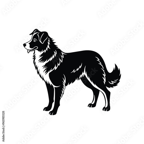 Silhouette of Australian shepherd dog vector clipart design