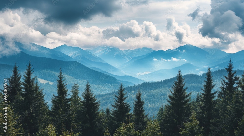 Forest view of Carpathian mountains, with trees and clouds Forest view of Carpathian mountains, with trees and clouds