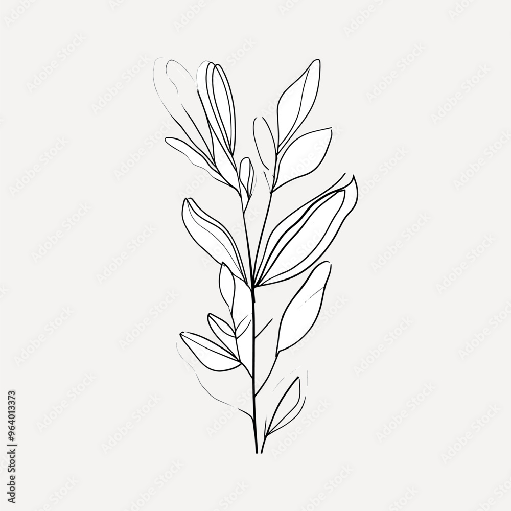 Minimalist botanical line art illustration