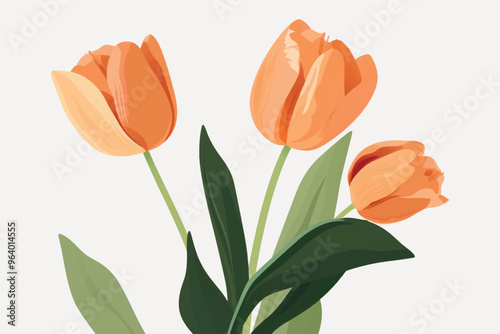 Elegant orange tulip illustration