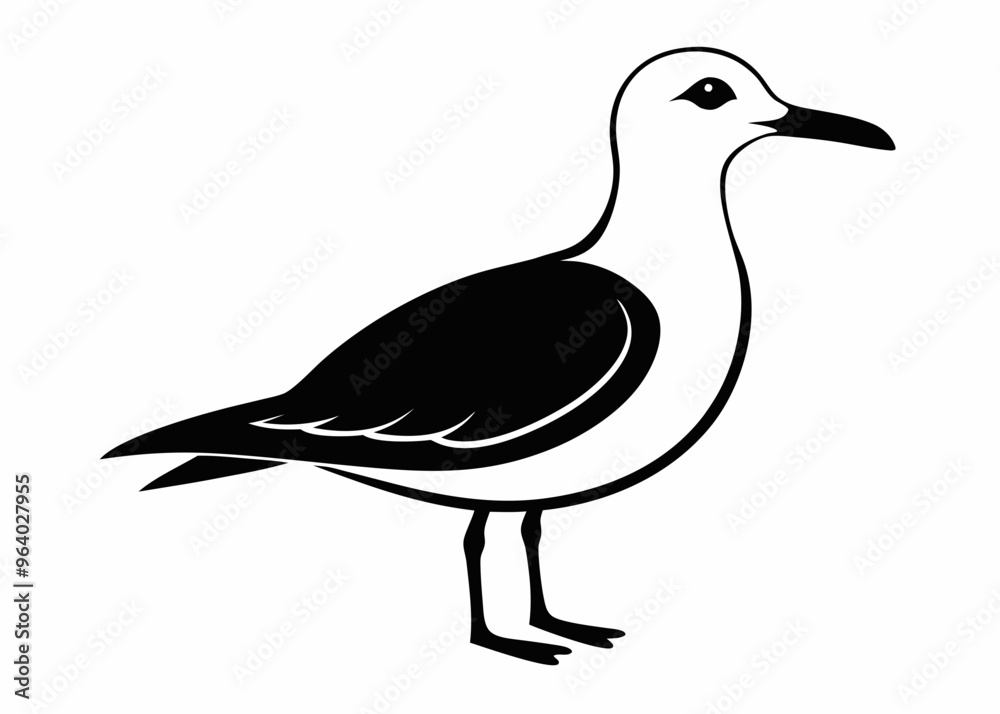 Seagull silhouette vector illustration Seagull silhouette vector illustration