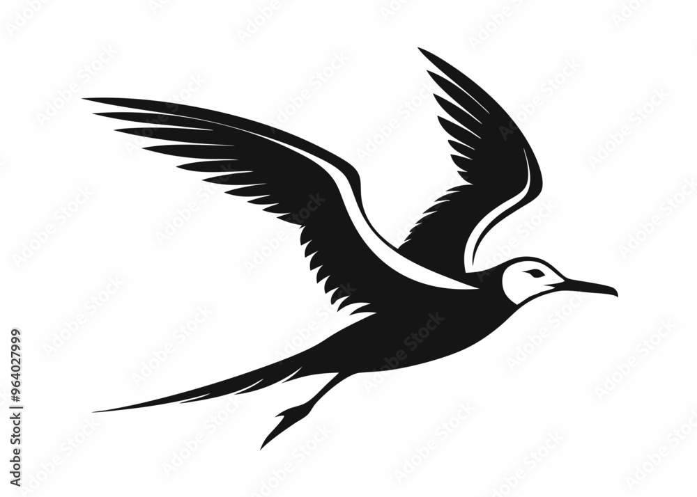 Seagull silhouette vector illustration Seagull silhouette vector illustration
