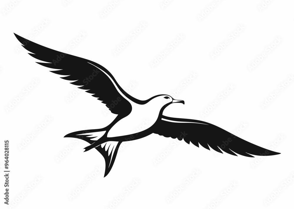 Seagull silhouette vector illustration Seagull silhouette vector illustration