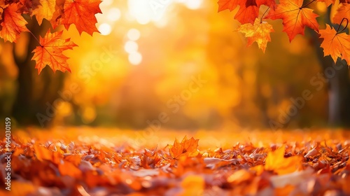 Golden Autumn Sunset: Vibrant Fall Foliage and Falling Leaves in Warm Sunlight, Nature Background for Seasonal Design, Thanksgiving, and Harvest Themes