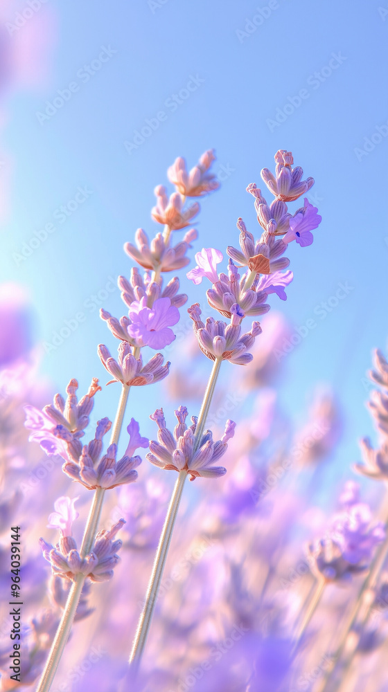 Naklejka premium Colorful flower background with blue sky