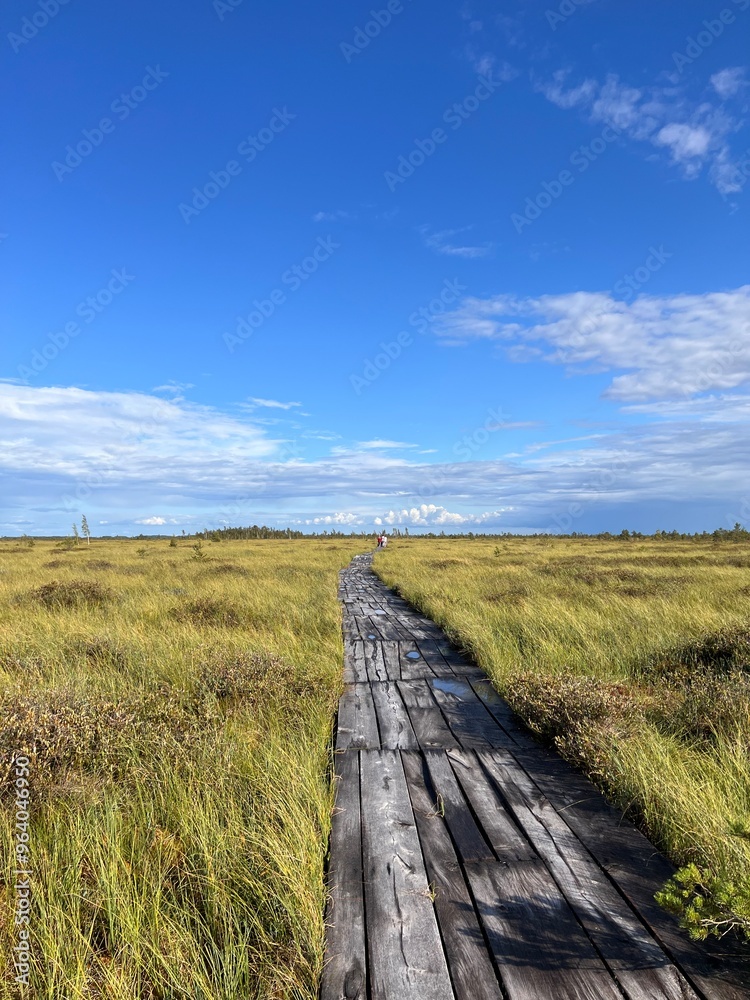 A vibrant spring scene of a raised bog with a colorful rainbow arching over a winding path, inviting exploration and connection with nature A vibrant spring scene of a raised bog with a colorful rainbow arching over a winding path, inviting exploration and connection with nature