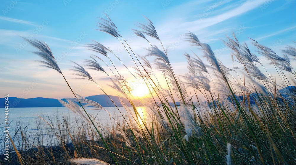 Serene Lake Sunset Through Wispy Grasses Serene Lake Sunset Through Wispy Grasses
