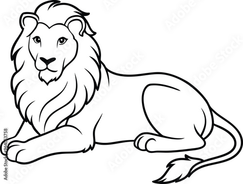 Lion vector illustration elegant graphic line art wild mammal