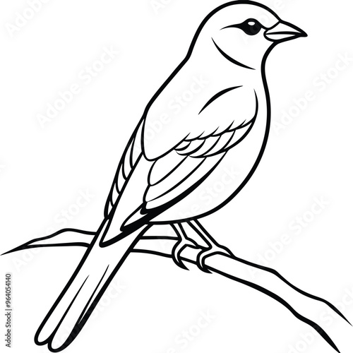 Beautiful bird icon vector illustration small bird logotype photo