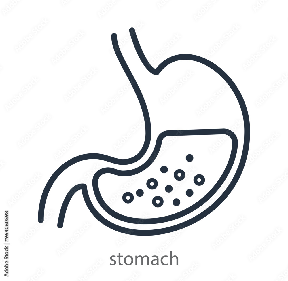 Stomach Icon. Image gastric juice, hydrochloric acid for medical materials. Logo for gastroenterological clinic. Vector illustration isolated on white background Stomach Icon. Image gastric juice, hydrochloric acid for medical materials. Logo for gastroenterological clinic. Vector illustration isolated on white background