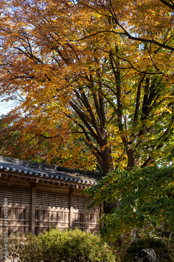 Korean Traditional Building in Secret Garden or Huwon of Changdeokgung Palace with beautiful autumn foliage. It was used as a place of leisure by members of the royal family Korean Traditional Building in Secret Garden or Huwon of Changdeokgung Palace with beautiful autumn foliage. It was used as a place of leisure by members of the royal family