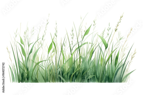 Watercolor green grass illustration